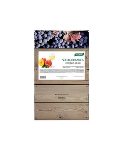 Sollegio Bianca​ Вино, столове напівсолодке біле, PICNIC Bag in Box 10 л