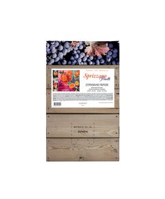 Sprizzano Perolli  помаранчеве вино  для коктейлів типу Spritz. (flavored wine)