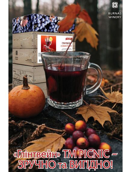 Глінтвейн з соком гранату. Напій виноградний винний червоний. PICNIC ГЛІНТВЕЙН Bag In Box 10л, зображення 3