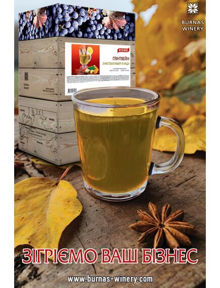 Глінтвейн імбирний. Напій на основі білого вина та меду з імбирем. Глінтвейн  PICNIC 10л., зображення 2